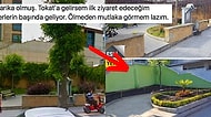 Tokat Belediyesi'nin Sarmaşıkları Keserek Yaptığı Peyzaj Faciası Sosyal Medyada Alay Konusu Oldu!