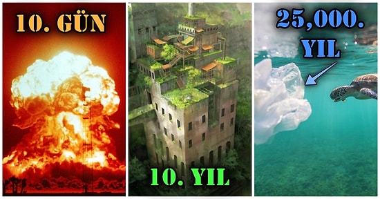 Farazi Sorulara Mantıklı Cevaplar: İnsanlık Bir Anda Ortadan Kaybolsaydı Dünyaya Ne Olurdu?