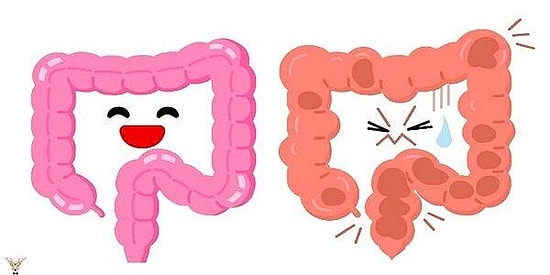 Psikolojik Sağlığınız Bağırsaklarınızın Elinde! Çok Karıştırılan Probiyotik ve Prebiyotikler Nedir ve Nasıl Erişebiliriz?