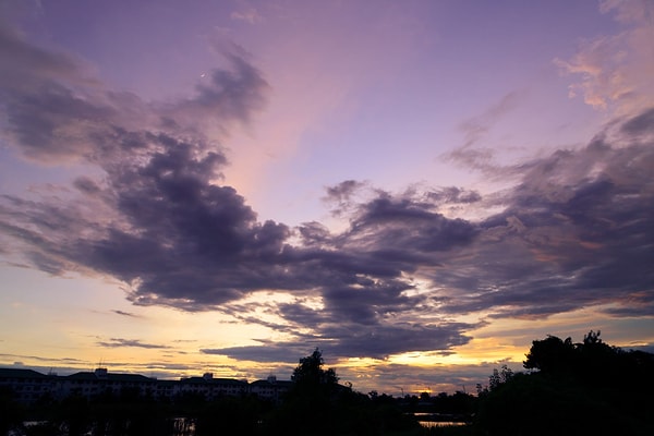 Для очистки избытка углекислого газа в нашей атмосфере потребуется 230 лет.