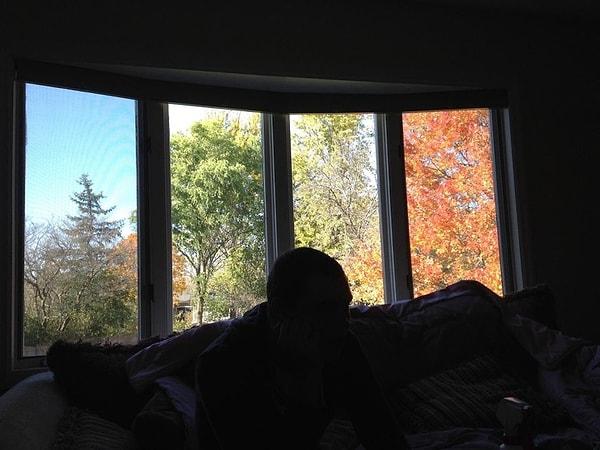17. "Bu pencere arka bahçemde dört mevsim yaşanıyormuş gibi gösteriyor."