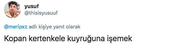 5.