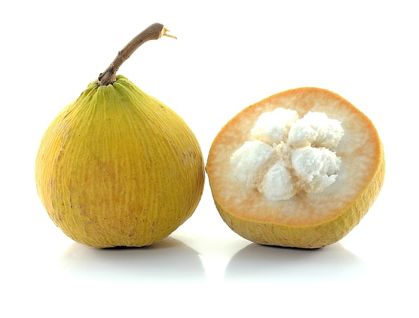 18. Santol