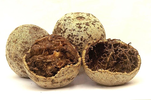 15. Wood Apple