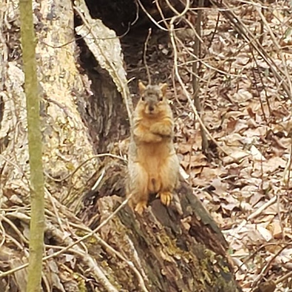4. Когда мне говорят сделать то, что я и так собирался: