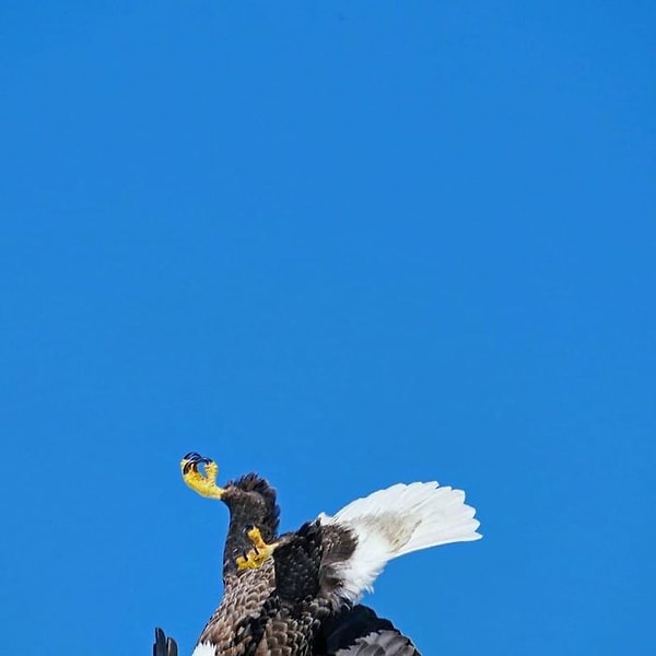 10. "Я старался как мог."