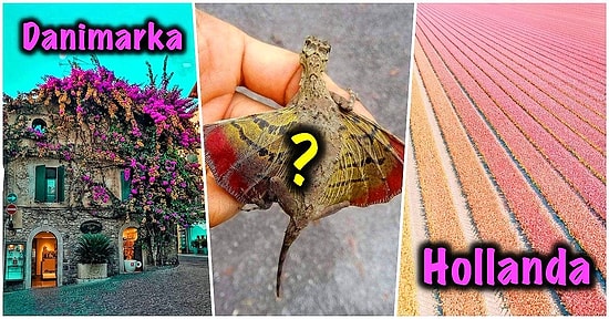 Bu Haftalık Bu Kadar İnternet Yeter: Şaşırma Kotanızı Ağzına Kadar Dolduracak 17 Yeni Görsel