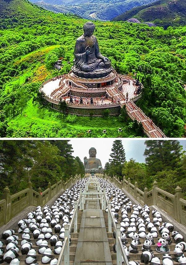 7. Büyük Buda, Lantau Adası
