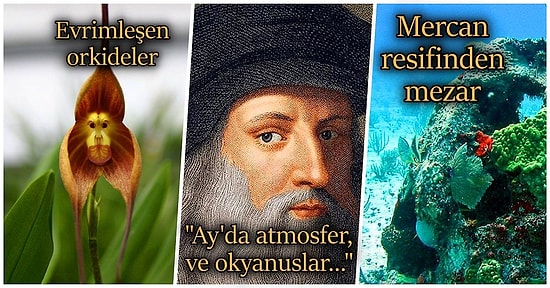 Acayip Bilgiler Kuşağı: Hayata Karşı Merakınızı Beş Katına Çıkarma Garantili 15 İlginç Gerçek