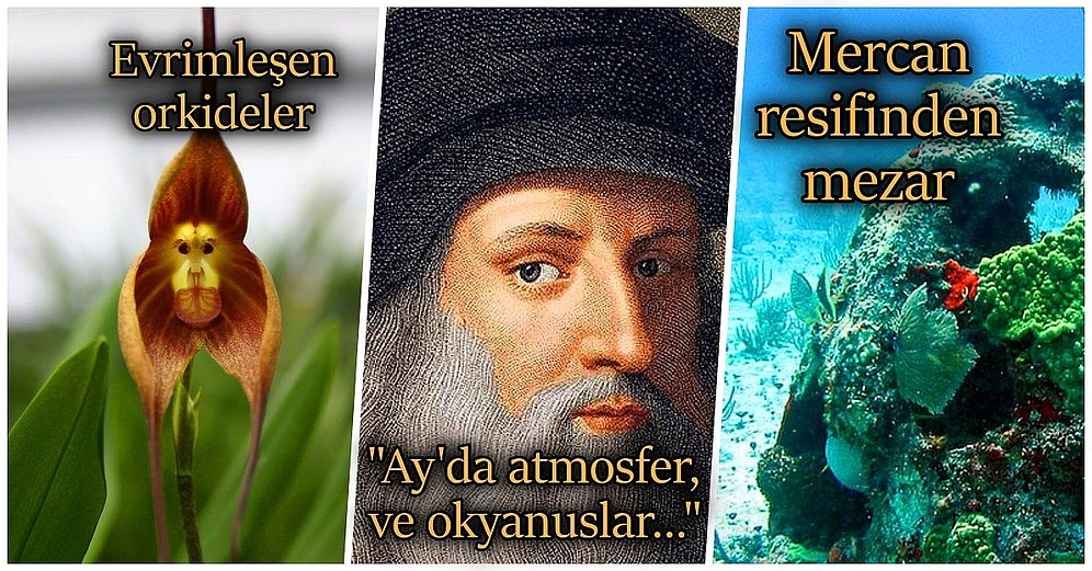 Acayip Bilgiler Kuşağı: Hayata Karşı Merakınızı Beş Katına Çıkarma Garantili 15 İlginç Gerçek