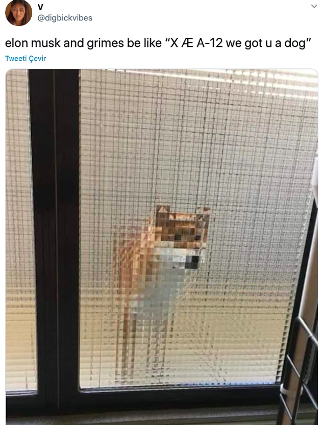 13. "Elon Musk ve Grimes: X Æ A-12 sana köpek aldık."