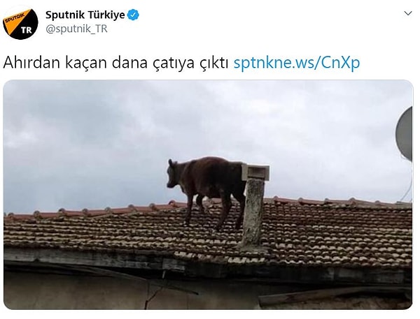 6. Tamam da niye oradasın?