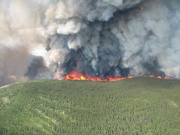 5. 2014 Kuzeybatı Toprakları yangınları, Kanada