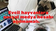 Sosyal Medya Kullanımıyla İlgili Bu Görüşler Sence Ne Kadar Doğru?