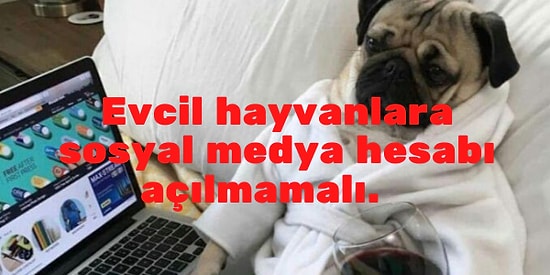 Sosyal Medya Kullanımıyla İlgili Bu Görüşler Sence Ne Kadar Doğru?