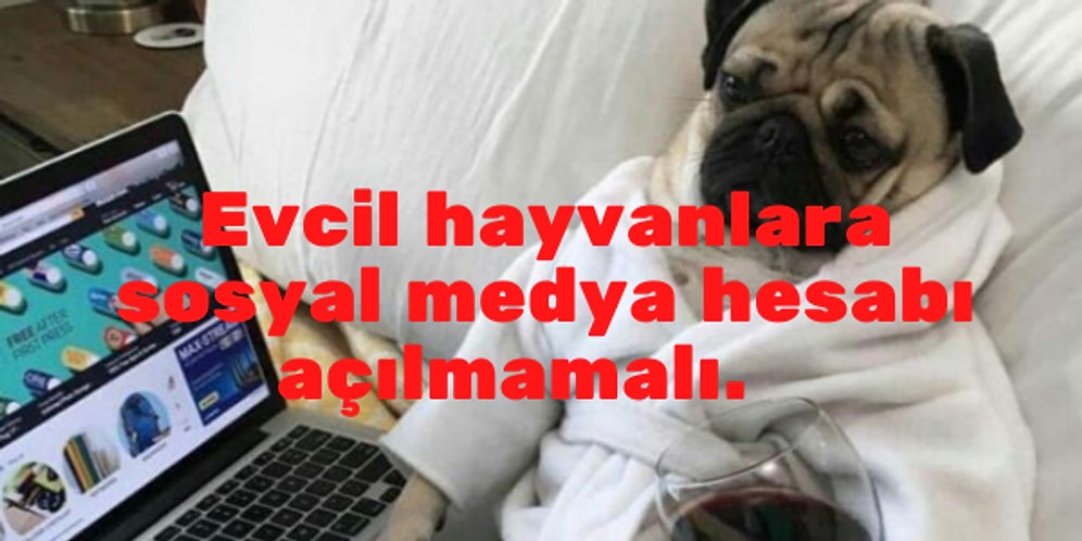 Sosyal Medya Kullanımıyla İlgili Bu Görüşler Sence Ne Kadar Doğru?