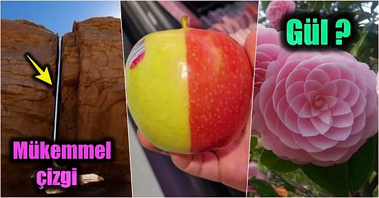 Kusursuz Görüntüleri Yüzünden Sahte Olduklarını Düşünerek Kanıt İsteyeceğiniz Birbirinden Etkileyici 17 Görsel