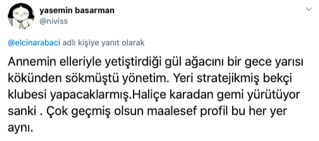 Ne çeşit bir ağaç düşmanlığı bu diye düşünmekten alıkoyamıyor insan kendini...