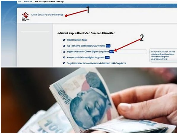 Evde bakım maaşlarına başvuru yapabilmek ya da ödemelerin sonucunu öğrenmek E-Devlet üzerinden erişim sağlayabilirsiniz.