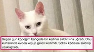 Evcil Hayvanlarıyla Yaşadıkları İlginç Anıları Bizimle Paylaşarak Hepimizi Eğlenceli İlişkilerine Tanık Eden Kişiler
