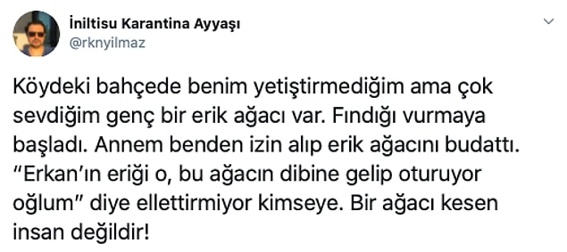 Halbuki hem emeği hem anıları korumak için bir çözüm illaki bulunabilirdi.