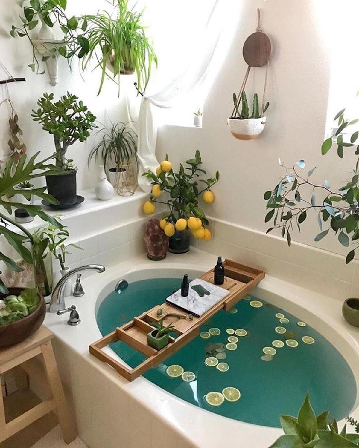 Цветы в ванной без окон. Ванная комната с растениями. Комнатные растения в ванной. Растения в ванной комнате интерьер. Растения в ванной комнате для декора.