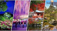Her Şey Normale Döndüğünde Gidip Görmek İçin Can Atacağınız 15 Japon Bahçesi