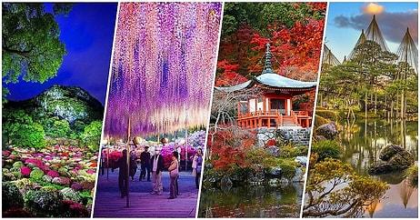 Her Şey Normale Döndüğünde Gidip Görmek İçin Can Atacağınız 15 Japon Bahçesi