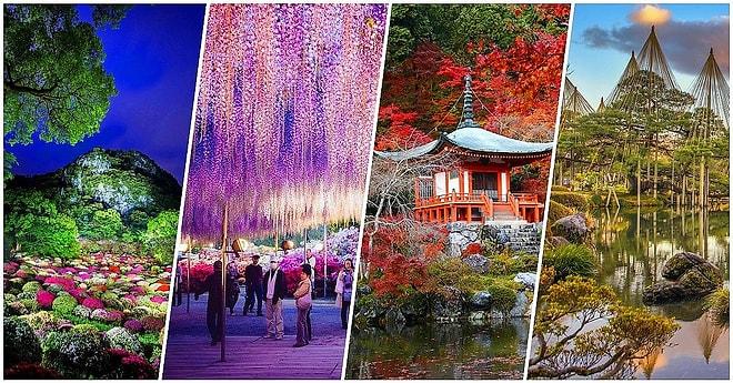 Her Şey Normale Döndüğünde Gidip Görmek İçin Can Atacağınız 15 Japon Bahçesi