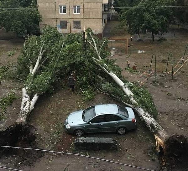 9. "Ukrayna'da yağmurun ardından şanslı bir araba."