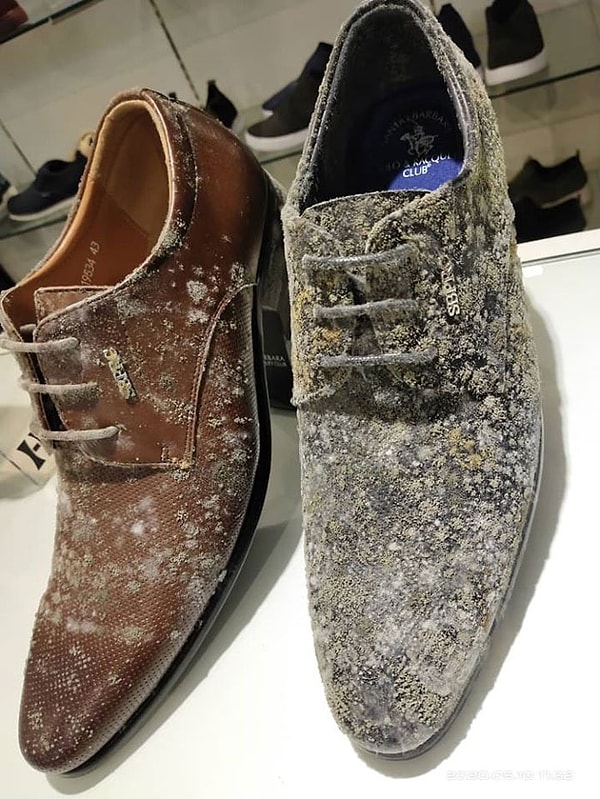 Как вы знаете, бутики и торговые центры по всему миру закрыты в рамках карантинных мер.