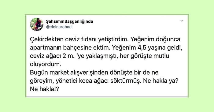 Sabırla Büyüttükleri Ağaçları Bir Gram Yeşilliğe Tahammülü Olmayan İnsanlar Tarafından Yok Edilen Kişiler