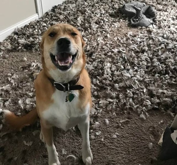 8. «Мы ушли всего лишь на час».