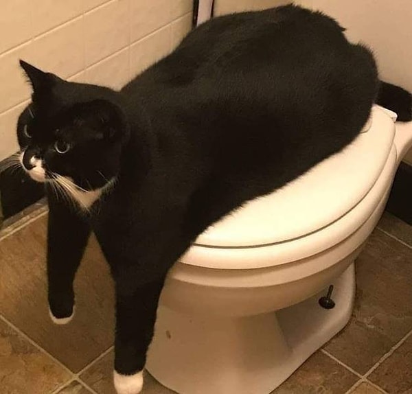 11. «Сначала ты должен ответить на мои загадки!»