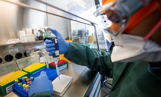 Negatif Çıkan Korona Testleri Hakkında İngiltere'den Açıklama: Yüzde 30'u Yanlış Olabilir