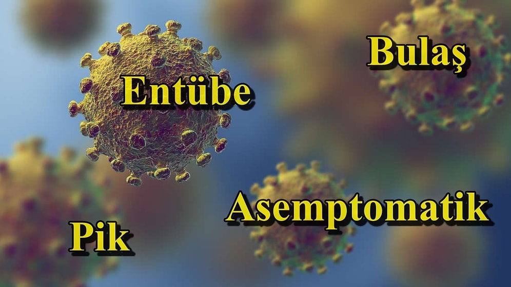 Koronavirüs Sözlüğü: Pandemi Sürecinde Hayatımıza Giren Kelimeler ve Anlamları