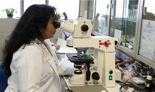 Birincisi, annenin aynı anda 2 yumurta üretmesi gerekiyor.