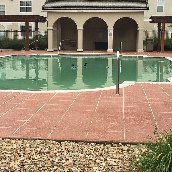 11. Утки плавают в жилом бассейне