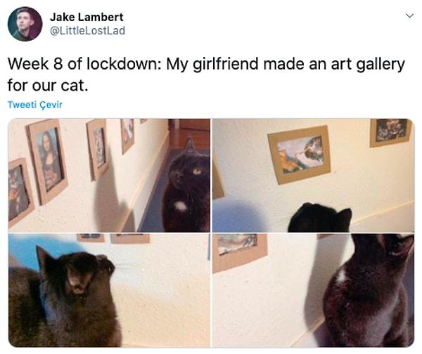 2. "Karantinada 8. hafta: Kız arkadaşım kedimiz için sanat galerisi yaptı."