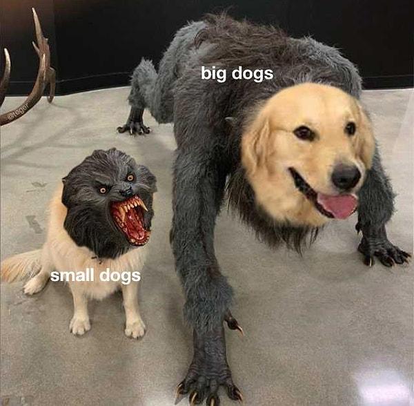 11. "Küçük köpekler ve büyük köpekler"