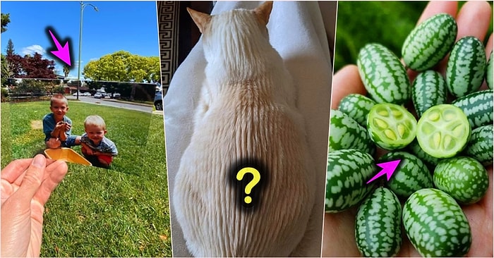 Gördüğünüz Anda Puzzle’ın Son Parçasını Eklemiş Gibi Bir His Yaratarak, İçsel Huzuru Yakalamanızı Sağlayacak 21 Fotoğraf