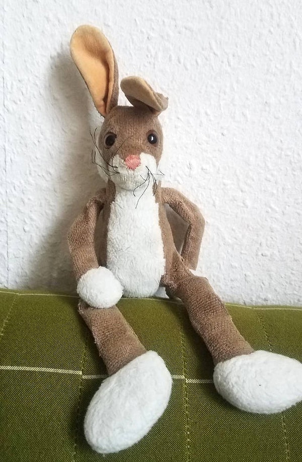 5. "Мои родители купили этого кролика, когда я родился. Я спал с ним каждую ночь, вплоть до подросткового возраста. Мне сейчас 25 лет, как и ему"