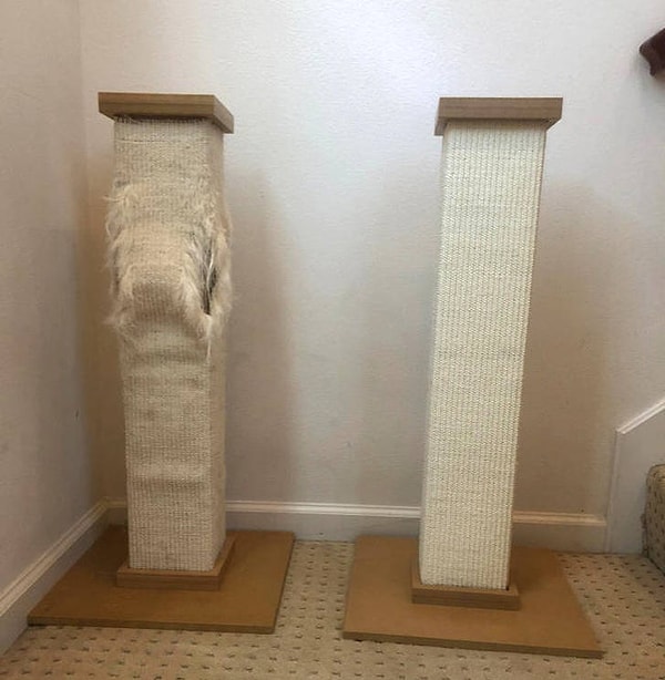 5. "Мы купили царапающий столб слева 14 лет назад. С тех пор мы поженились, родили детей, приобрели новых кошек, и живем в нашем третьем доме. Но этот столб - лучший!"