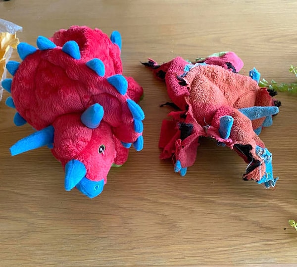 10. «Вот так выглядела любимая игрушка моей собаки год назад».