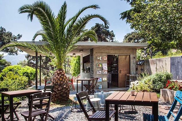 Bahçede Sinek, Büyükada