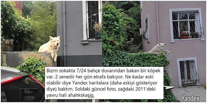 Günlük Hayatta Karşılaştıkları Manzaralarla Hepimizi Kırıp Geçirecek Paylaşımlara İmza Atmış 19 Kişi