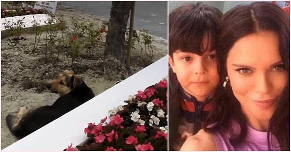 3. Geçtiğimiz ay lenfoma nedeniyle 10 yaşındaki oğlu Pars'ı kaybeden Ebru Şallı, Pars'ın kabrinin başından ayrılmayan köpeğin bakımını üstlendi.