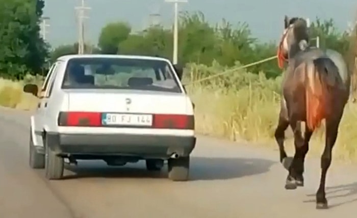 Osmaniye'de Otomobile Bağladıkları Atı Metrelerce Koşturdular