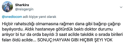 Sevgilileriyle Yaşadıkları Absürt Olaylardan Sonra, 'Ben Nasıl Bir Hataya Düştüm' Diyen Kişilerden Güldüren Hikâyeler