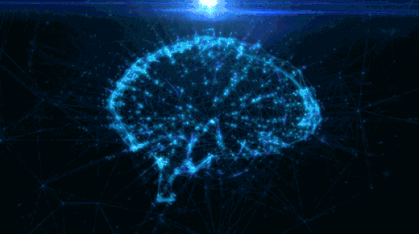 IQ/Genel Kültür